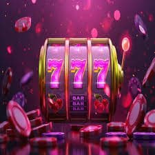 23win22